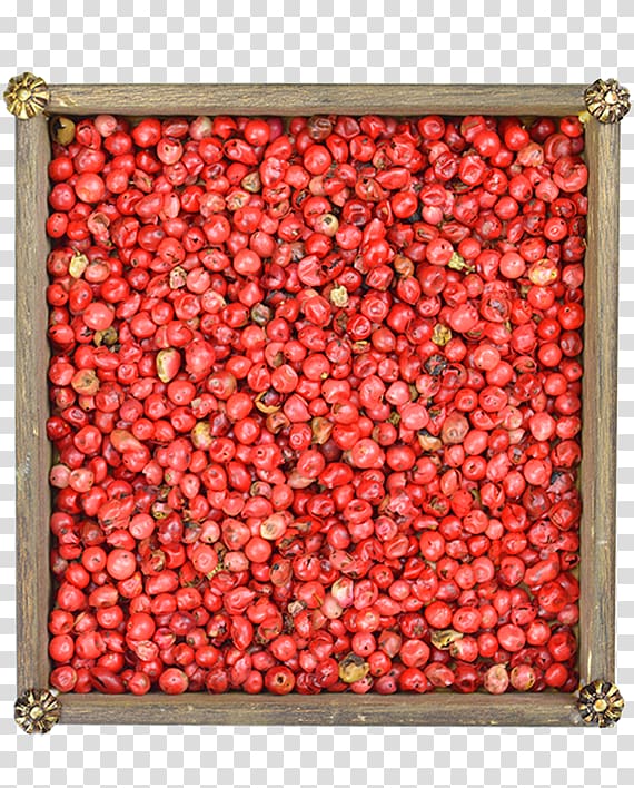 Cranberry Pink peppercorn Natural foods Adzuki bean, Schinus Terebinthifolia transparent background PNG clipart