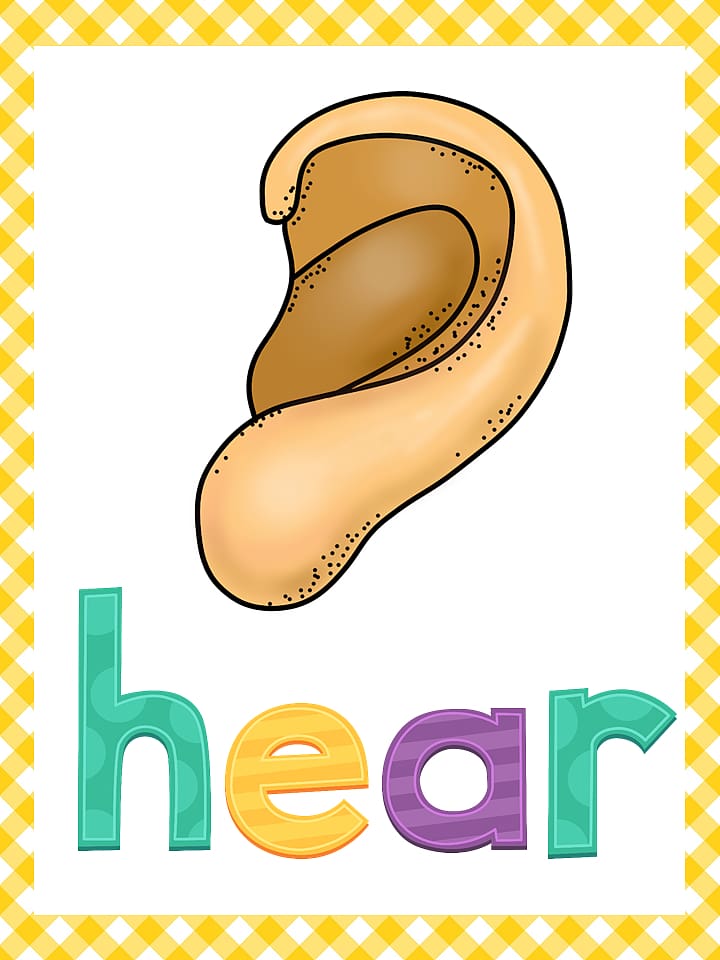 hear , The Five Senses World , 5 Senses transparent background PNG clipart