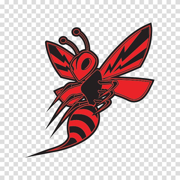 Hornet Bee Sticker Scooter Motorcycle, wasp transparent background PNG clipart