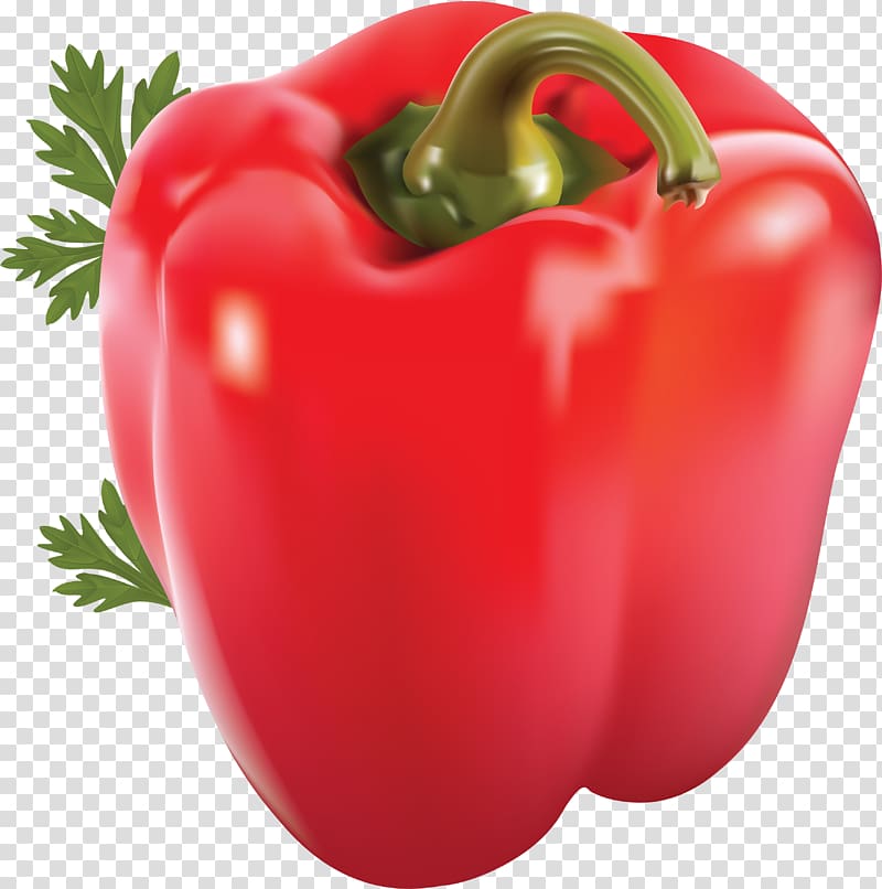 Bell pepper Chili pepper Chili con carne Vegetable, Pepper transparent background PNG clipart