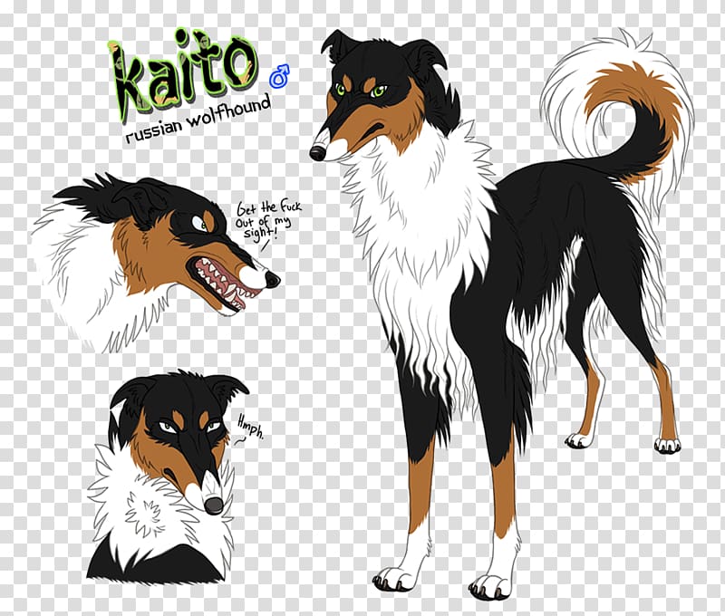 Rough Collie Dog breed Companion dog Graphics, cold blooded animals transparent background PNG clipart