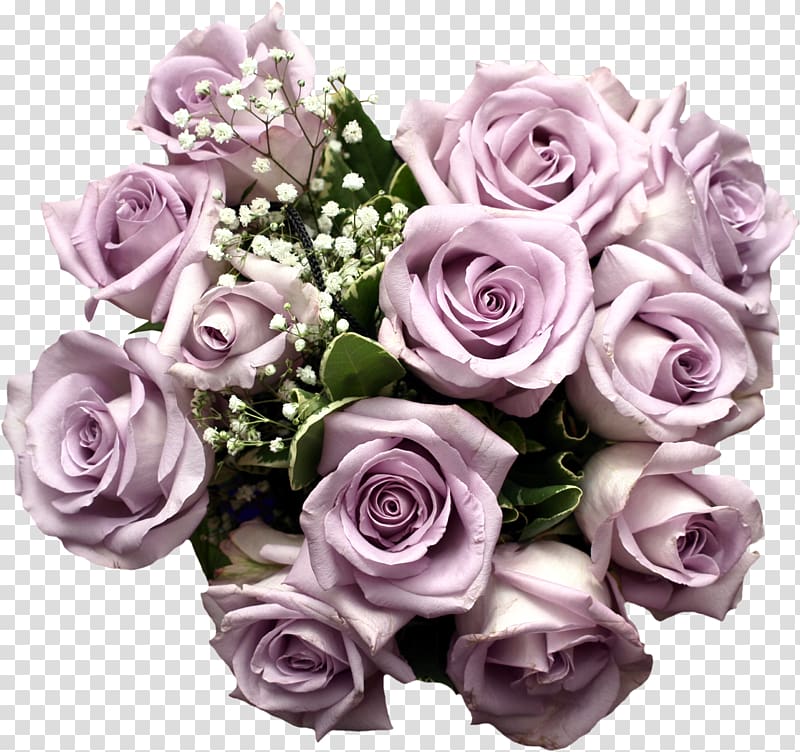 purple roses illustration, Rose Purple Light Flower bouquet , Light Purple Rose Bouquet transparent background PNG clipart