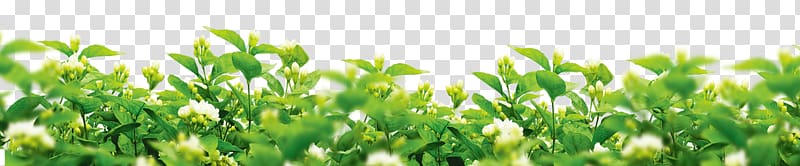 Evaporative cooler Fan Solar power, Gardenia flower background transparent background PNG clipart