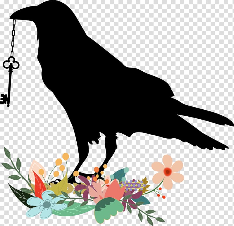 Common raven Bird House crow, raven transparent background PNG clipart