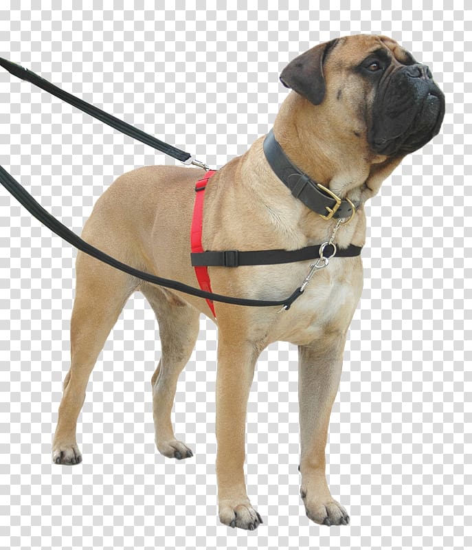 Dog collar Dog harness Leash Halter, Dog transparent background PNG clipart