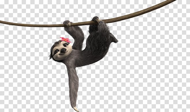 sloth transparent background PNG clipart