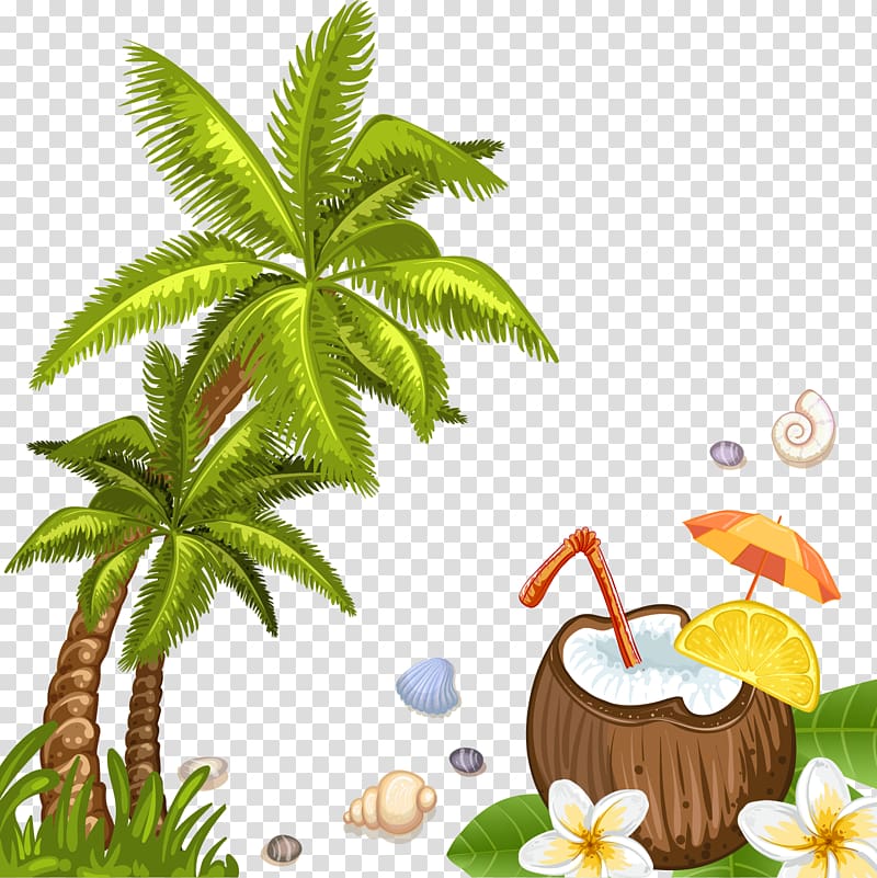 coconut tree with coconut juice , Coconut water Beach Arecaceae, coconut trees transparent background PNG clipart