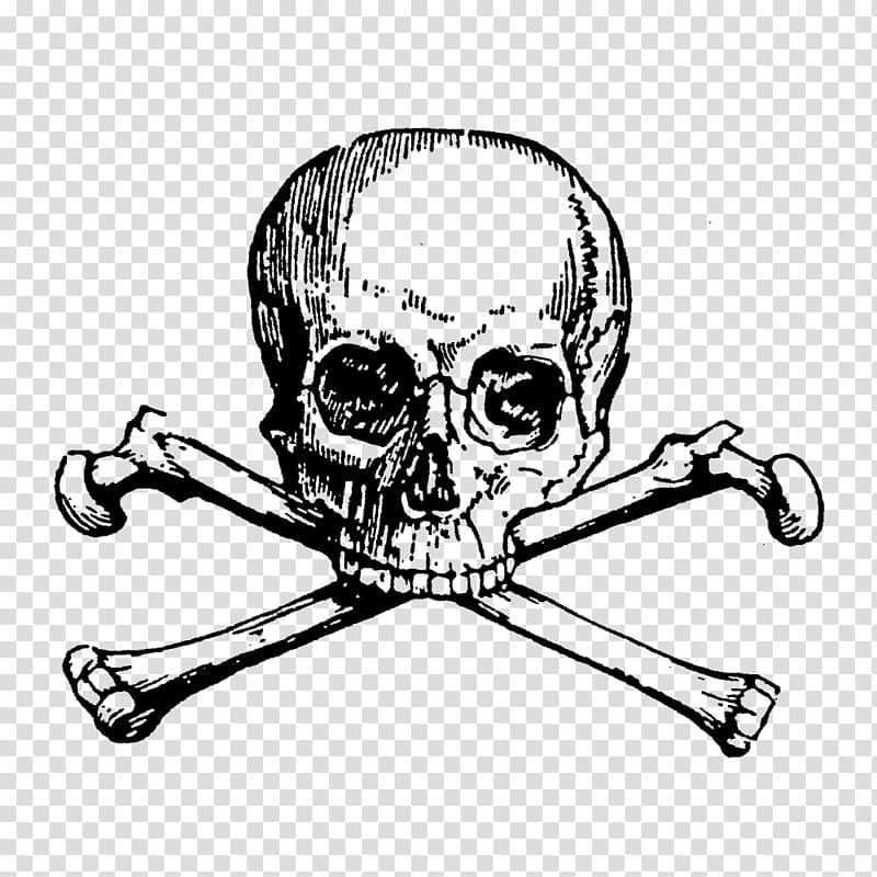 Skull and Bones Skull and crossbones Art, skull transparent background PNG clipart