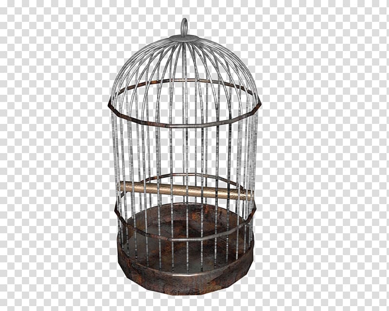 Birdcage Domestic canary Cockatiel Parrot, bird cage transparent background PNG clipart