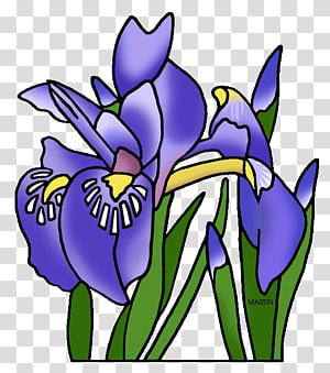 Louisiana irises Tennessee , others transparent background PNG clipart thumbnail