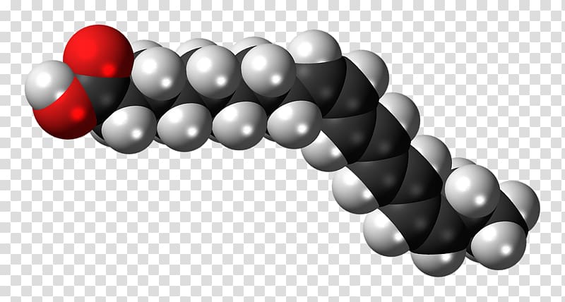 alpha-Linolenic acid Fatty acid Stearic acid, DNA-molecule transparent background PNG clipart