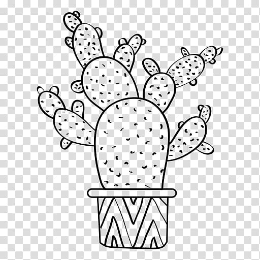 Cactaceae Drawing Succulent plant , watercolor cactus transparent background PNG clipart