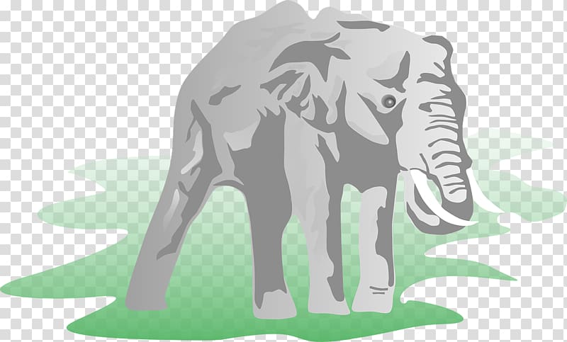 African elephant Indian elephant Elephantidae , mammal transparent background PNG clipart