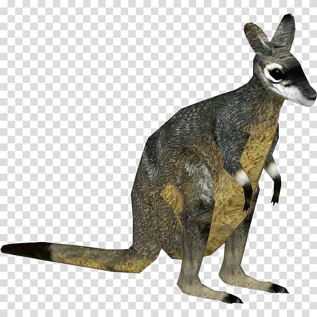 Zoo Tycoon 2 Macropodidae Musky rat-kangaroo Wallaby, western transparent background PNG clipart