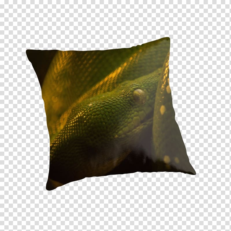 Knee Socks Throw Pillows Каонаси, Green Tree Python transparent background PNG clipart