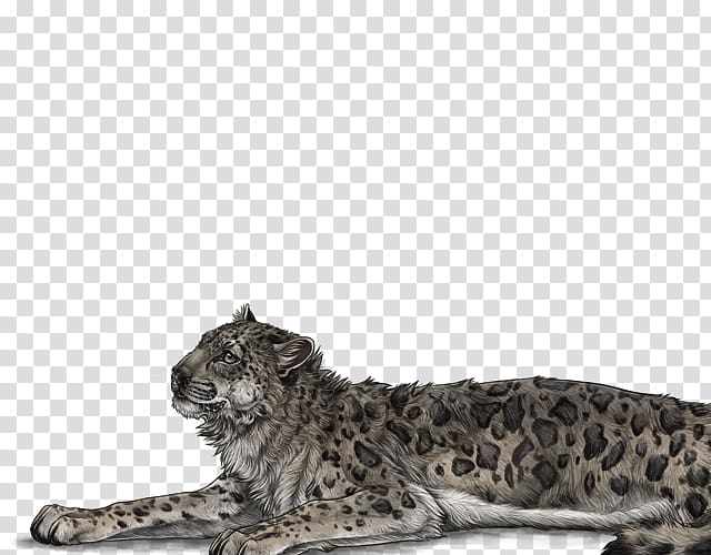 Snow leopard Felidae Lion Slot 2, leopard transparent background PNG clipart