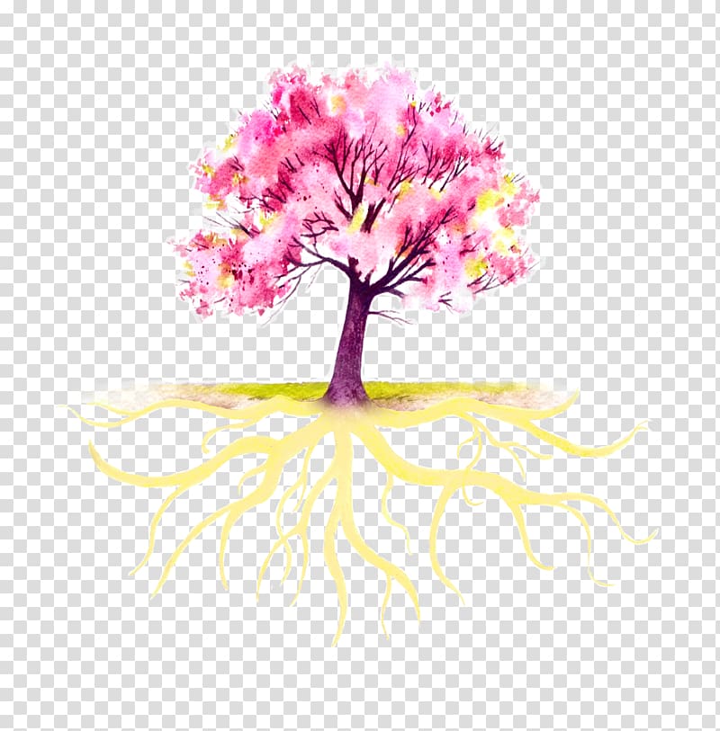 Doula Tree Root, tree transparent background PNG clipart