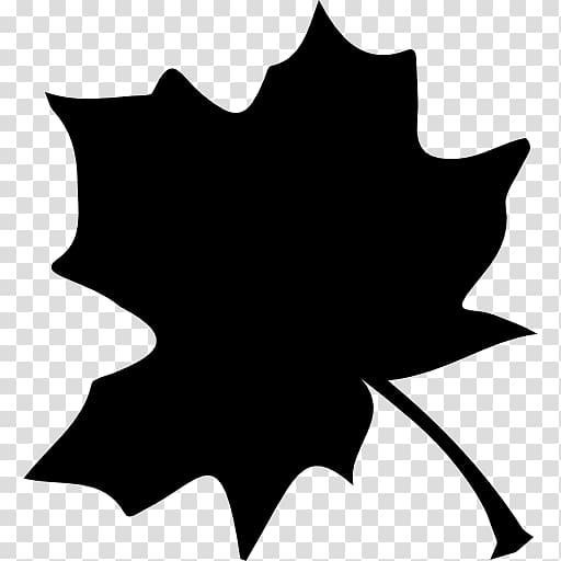 Maple leaf Computer Icons Tree Shape, Leaf transparent background PNG clipart