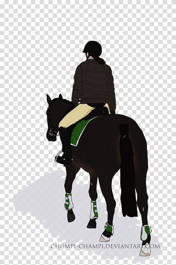 Stallion English riding Mustang Rein Mare, mustang transparent background PNG clipart