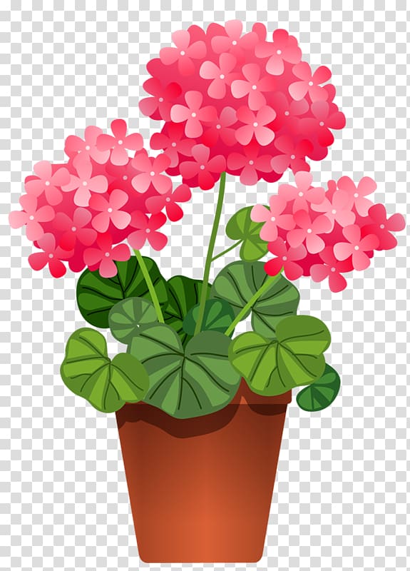 Houseplant Flower , Potted Plant transparent background PNG clipart