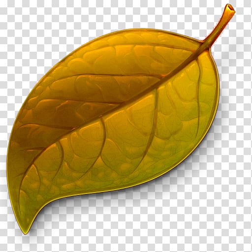 Text editor Icon, Autumn leaves transparent background PNG clipart