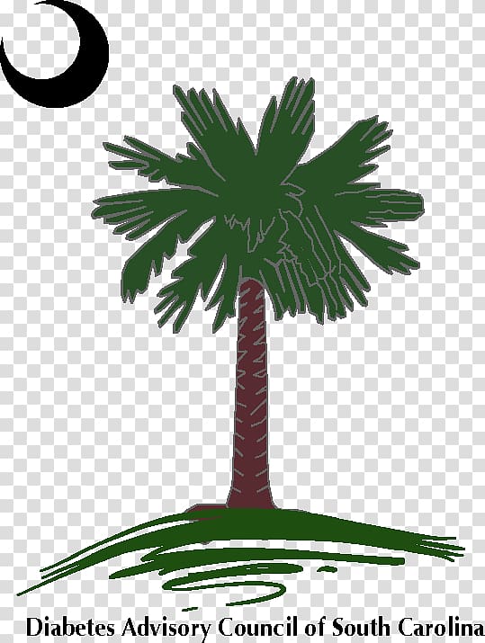 Sabal Palm Arecaceae Flag of South Carolina Decal, Joshua Tree Tour 2017 transparent background PNG clipart