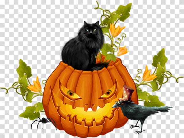 Jack-o\'-lantern Whiskers Cat Halloween Winter squash, Cat transparent background PNG clipart