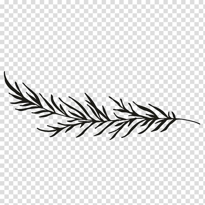 Branch Black and white Twig Drawing , lemon decorative borders transparent background PNG clipart