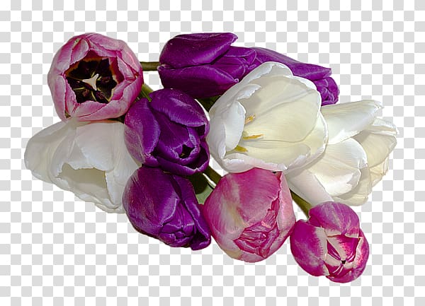 Cut flowers Flower bouquet Artificial flower Petal, tulip material transparent background PNG clipart