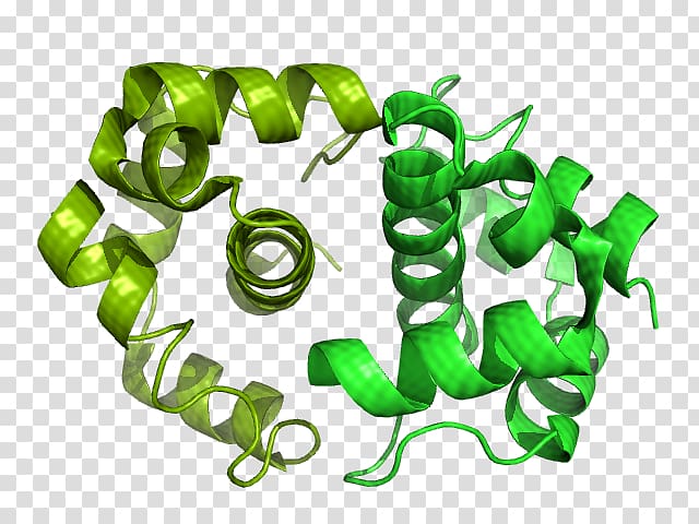 Anti-sigma factors Biochemistry Transcription E. coli, phases of bacterial growth transparent background PNG clipart