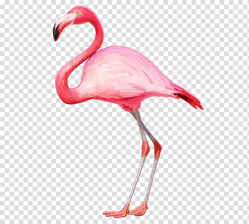 Flamingo , Flamingo , pink flamingo transparent background PNG clipart
