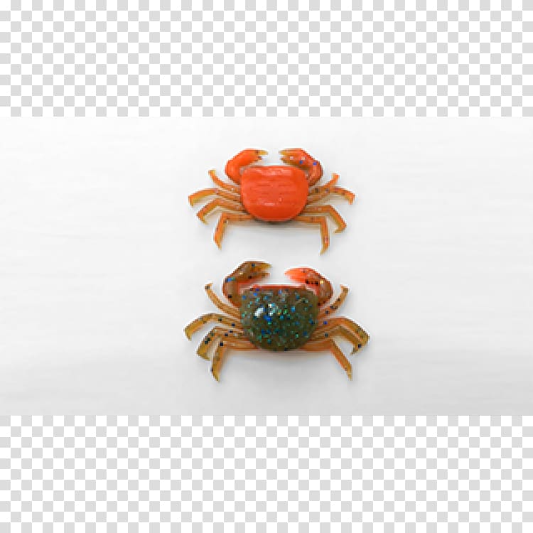 Freshwater crab Insect Caridea Crustacean, crab transparent background PNG clipart