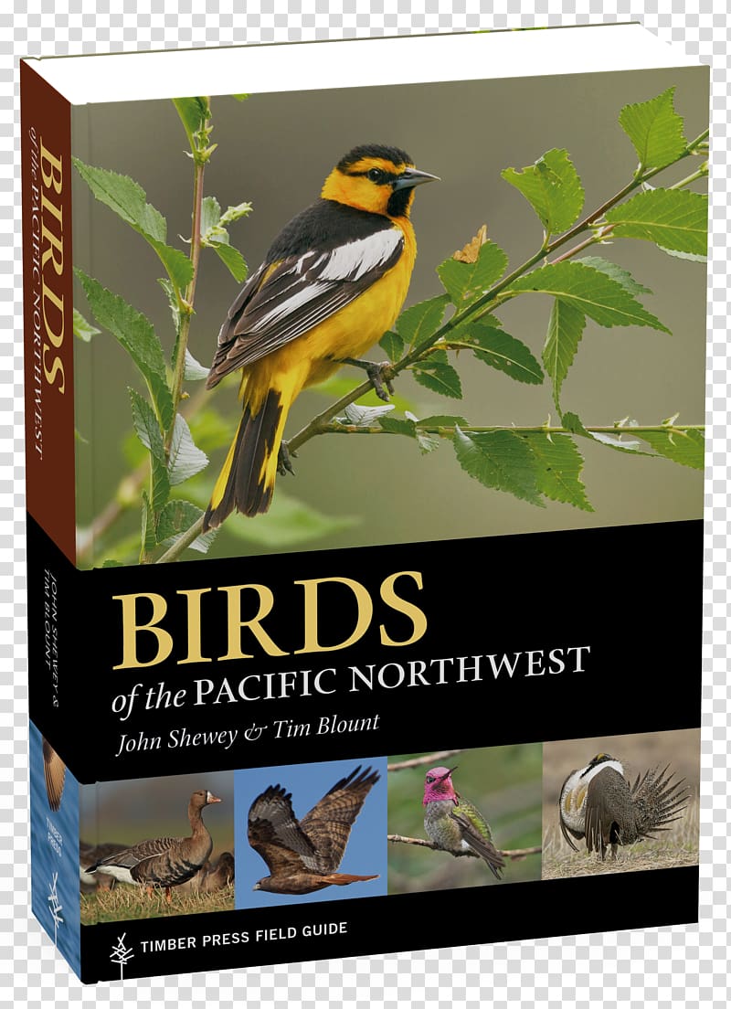 Birds of the Pacific Northwest: Timber Press Field Guide Fly fishing for summer steelhead, Bird transparent background PNG clipart