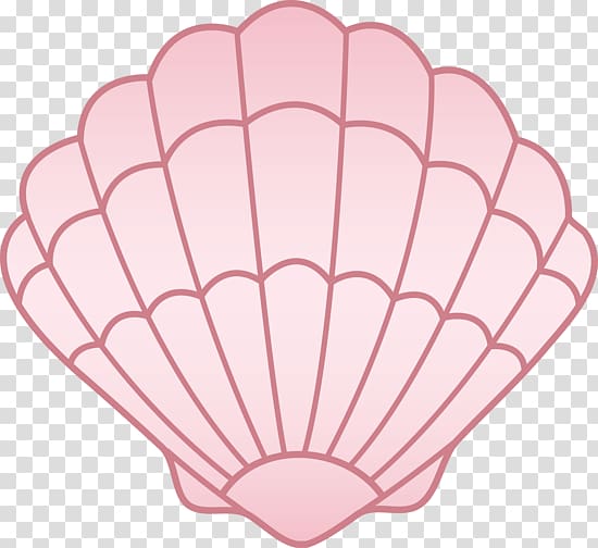 seashell png