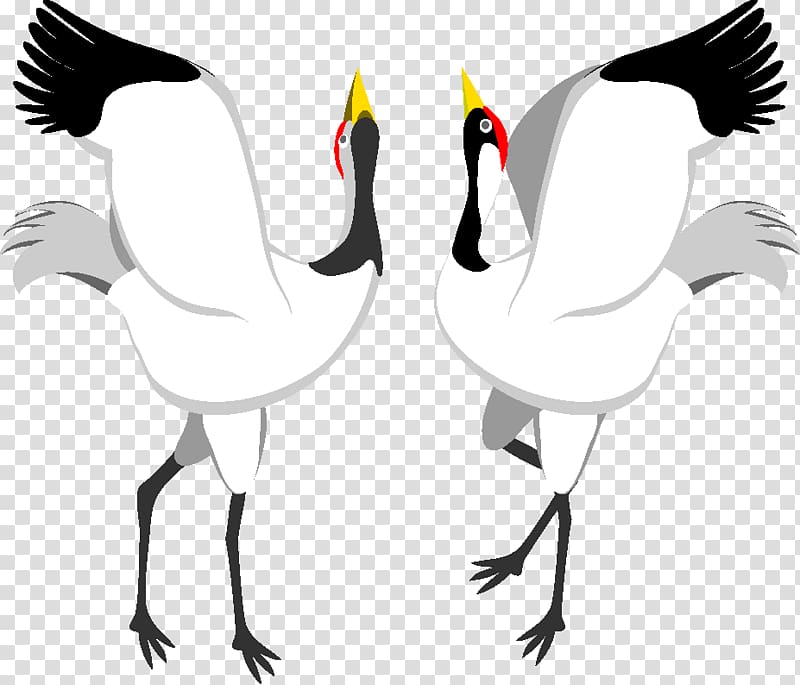 dancing red-crowned crane transparent background PNG clipart