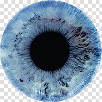 Eye color Light Iris Human eye, Eye transparent background PNG clipart