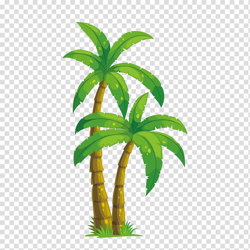 palm trees illustration, Arecaceae Coconut Tree Illustration, coconut tree free transparent background PNG clipart