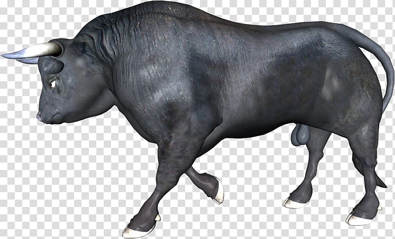 Zebu Ox Bull Water buffalo, bull transparent background PNG clipart