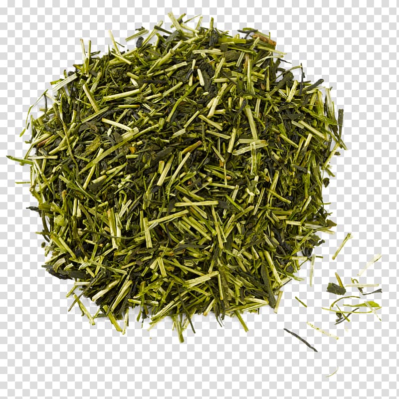 Gyokuro Green tea Nilgiri tea Assam tea, green tea transparent background PNG clipart