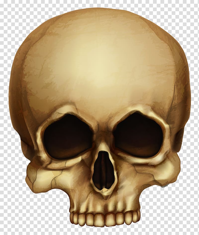 beige skull , Skull Calavera Halloween Skeleton, Halloween Skull transparent background PNG clipart