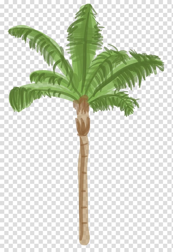 Arecaceae Tree Date palm Coconut Queen palm, date palm transparent background PNG clipart