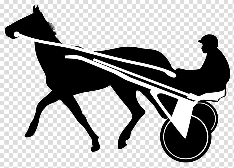 Horse Trot Harness racing , horse race transparent background PNG clipart
