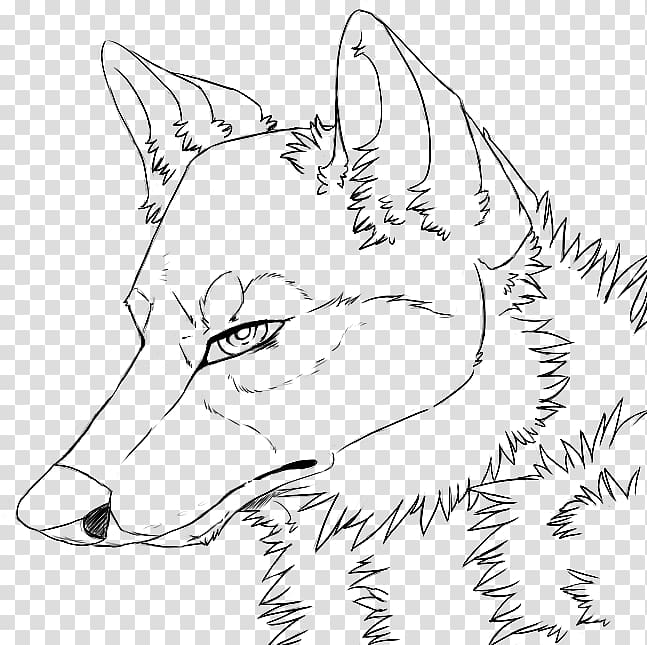 Line art Gray wolf Drawing Painting, painting transparent background ...