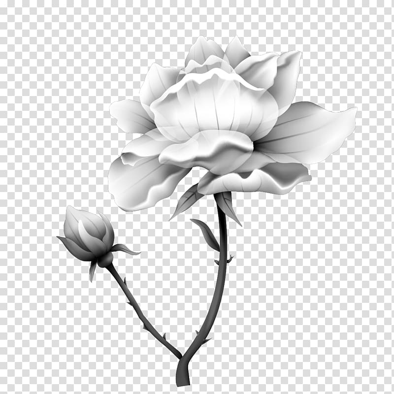 Nelumbo nucifera Ink wash painting Black and white, Multi-layer white ink Lotus transparent background PNG clipart