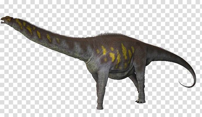 Argentinosaurus Titanosaurus Dinosaur , dinosaur transparent background PNG clipart