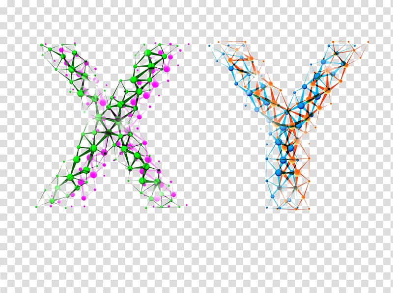 Y chromosome XY sex-determination system X chromosome, chromosome transparent background PNG clipart