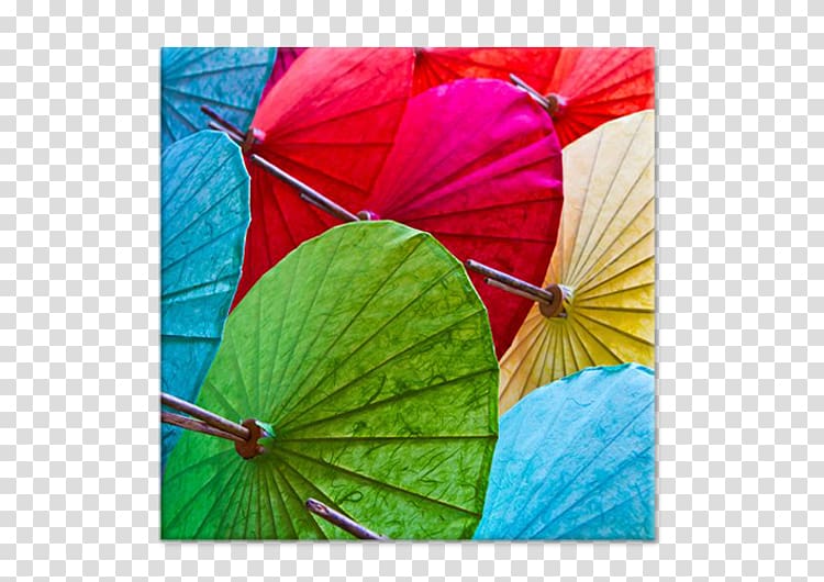 Chiang Mai Flower Festival Umbrella , umbrella transparent background PNG clipart