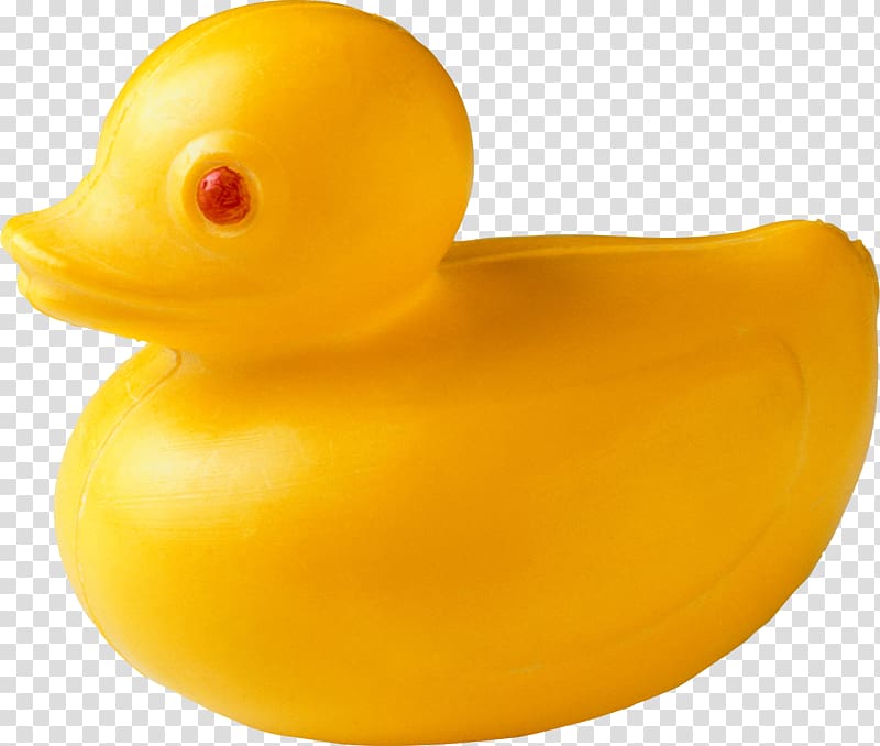 Rubber duck transparent background PNG clipart