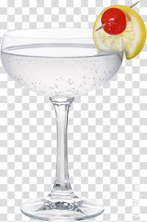 Cocktail garnish Margarita Martini Champagne glass, cocktail transparent background PNG clipart thumbnail