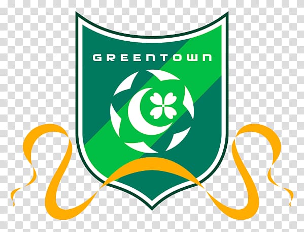 Hangzhou Greentown F.C. Chinese Super League Shanghai Shenxin F.C. Chinese FA Cup, football transparent background PNG clipart